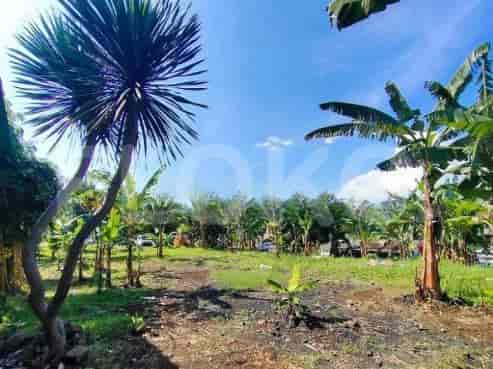1600 sqm, Land for Rent in Jl Rambutan, Bogor - TNRe32 2