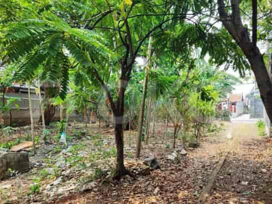 817 sqm, Land for Sale in Jl Mawar, Pancoran Mas 2