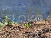 129 sqm, Land for Sale in Jl Batu hulung A7, Bogor - TNS5a7 2
