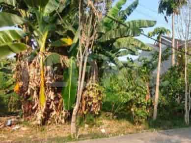190 sqm, Land for Sale in Jl Jatinegara Baru, Jatinegara 1