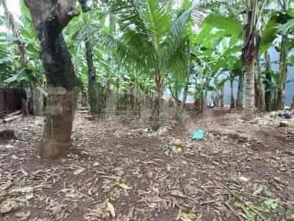 540 sqm, Land for Sale in Jl Terogong Kecil, Pondok Indah 2