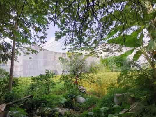 Dijual Tanah Luas 1570 m2 di Jl Jeruk Bintang Blok G1, Kebon Jeruk - TNS076 1