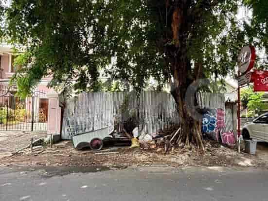 A street scene with a large tree, metal fence, and a street vendor's cart.