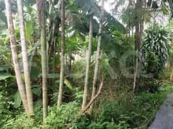 Dijual Tanah Luas 1496 m2 di Jl Raya Pancoran Mas, Pancoran Mas - TNS68c 2