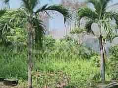 980 sqm, Land for Sale in Jl Danau Indah Barat, Sunter - TNS574 4