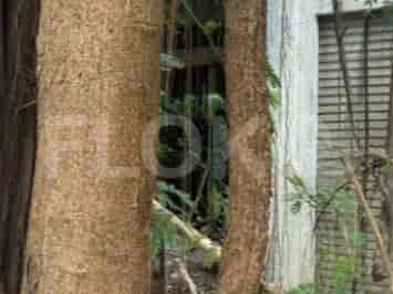 264 sqm, Land for Sale in Jl Green Ville, Duri - TNSbc4 2