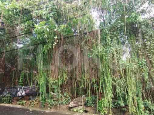 1011 sqm, Land for Sale in Jl Rasamala, Tebet 1