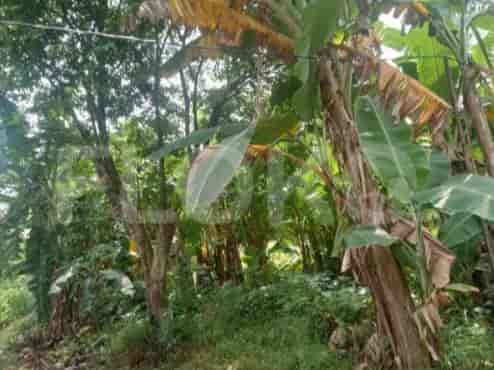 Dijual Tanah Luas 341 m2 di Jl Raya Mampang, Pancoran Mas - TNS846 1