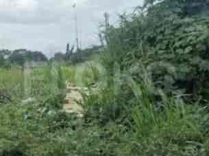 Disewakan Tanah Luas 3000 m2 di Jl Raya Sawangan, Depok - TNR081 2