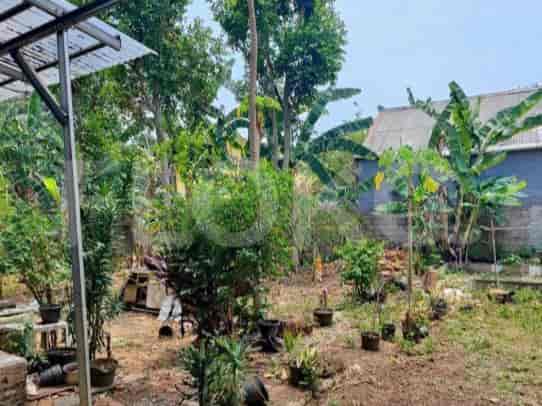 Dijual Tanah Luas 817 m2 di Jl Mawar, Pancoran Mas - TNSfd9 1