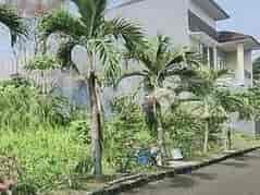 Dijual Tanah Luas 980 m2 di Jl Danau Indah Barat, Sunter 6