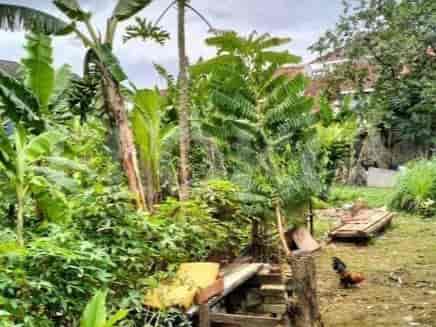Dijual Tanah Luas 500 m2 di Jl Raya Pancoran Mas, Pancoran Mas - TNS3d5 2