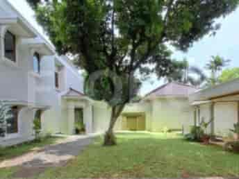 A view of the back of the house with a large tree, garden space, and detached building.