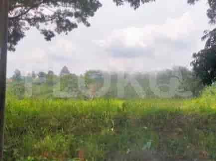 Green field with trees in the background, similar to the first image.