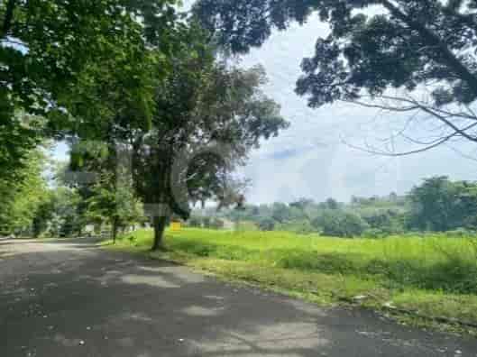 Similar view as the third image, with an asphalt road and trees.