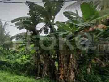 900 sqm, Land for Sale in Jl Jakasampurna, Bekasi - TNS5d5 1