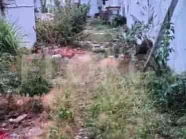356 sqm, Land for Sale in Jl Raya Penjaringan, Penjaringan - TNSf2d 3
