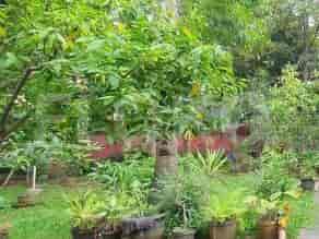 Dijual Tanah Luas 1200 m2 di Jl Raya Bintaro Sektor 7, Bintaro - TNSb69 2