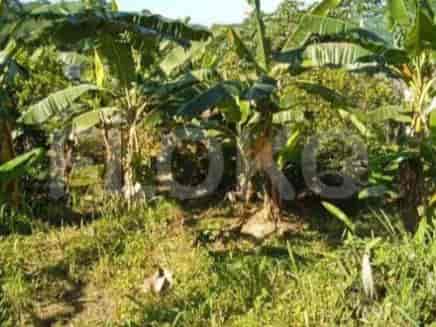 Disewakan Tanah Luas 1000 m2 di Jl Raya Padjajaran, Bogor - TNRe82 1