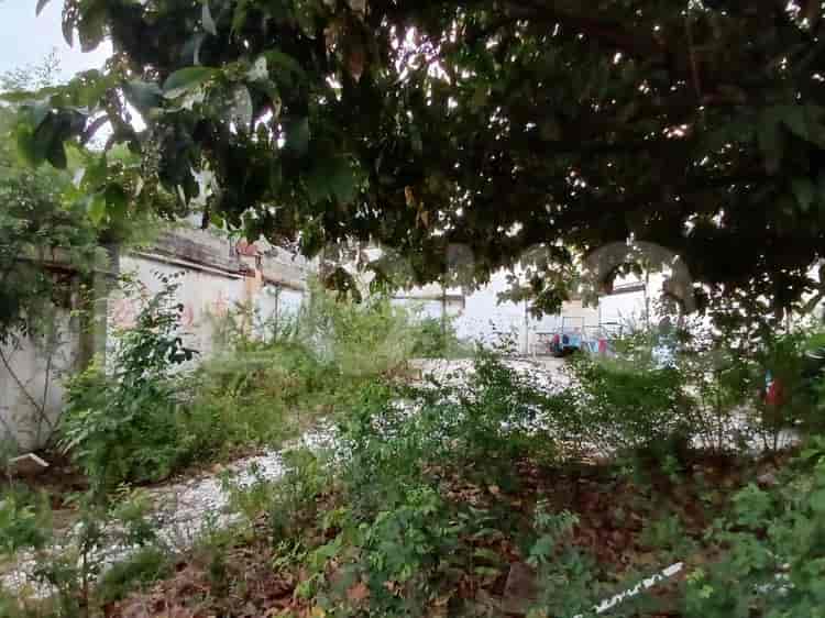 259 sqm, Land for Sale in Jl Perumahan Sunrise Garden, Kedoya - TNS976 1
