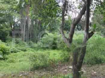 3200 sqm, Land for Sale in Jl Raya Meruya, Meruya 3