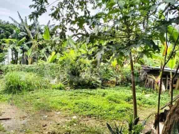 Dijual Tanah Luas 500 m2 di Jl Raya Pancoran Mas, Pancoran Mas - TNS3d5 1