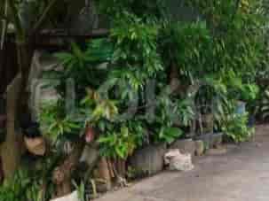 Dijual Tanah Luas 500 m2 di Jl Raya Meruya Utara, Meruya - TNSf64 2