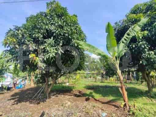 1600 sqm, Land for Rent in Jl Rambutan, Bogor - TNRe32 1