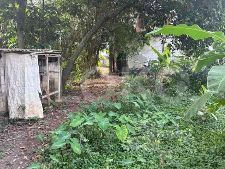Dijual Tanah Luas 1100 m2 di Jl Rawa Denok, Pancoran Mas - TNS266 2