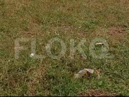 112 sqm, Land for Sale in Dekat Stasiun Cilebut A5, Bogor - TNS2f4 1