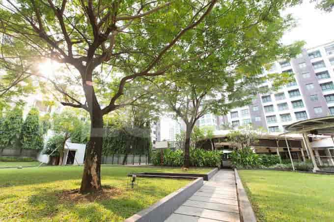 kristal outdoor_nw.jpg