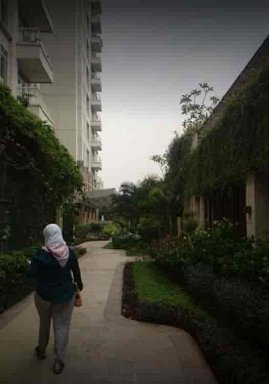 Sewa Apartemen Botanica
