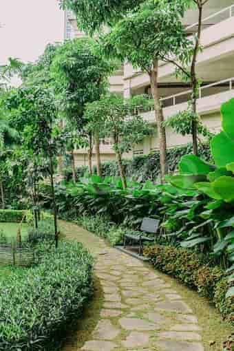 somerset sudirman outdoor_nw.jpg