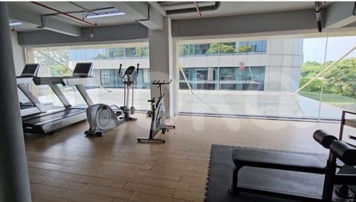 damoci gym2_nw.jpg