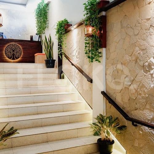 treehouse stairs_nw.jpg