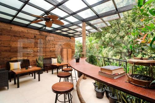 treehouse terrace_nw.jpg