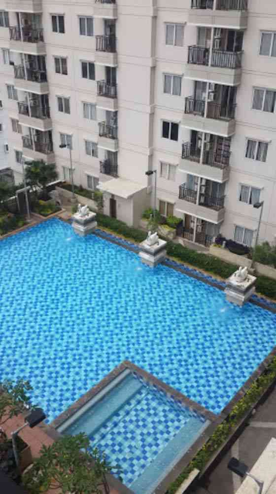 kolam renang signature park apartemen
