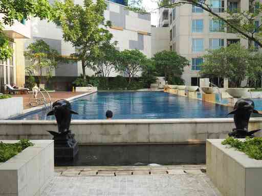 pool Casa Grande