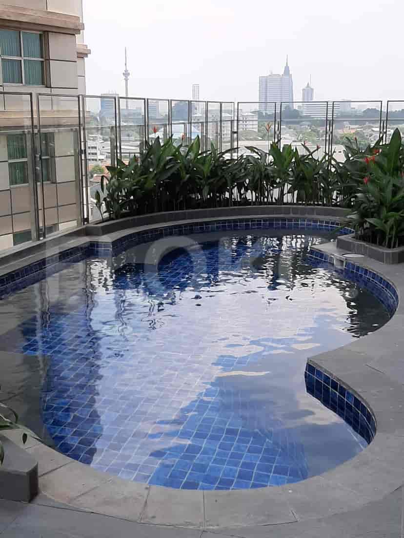 A small rooftop pool with plants and city views.