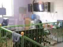 150 sqm, 3 BR house for sale in Perumahan Griya Harapan Permai, Bekasi - RHASdd5 3