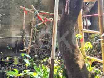 Dijual Rumah 3 BR, Luas 400 m2 di Jl. Raya Kalibata Selatan, Kalibata - RHAS8c2 3