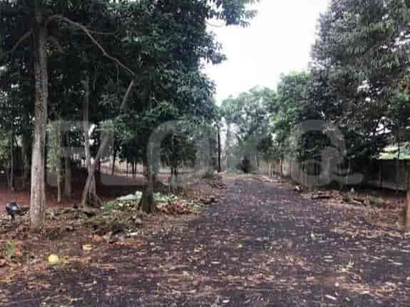 Dijual Tanah Luas 2000 m2 di Jl Raya Kadusirung, BSD - TNS774 1