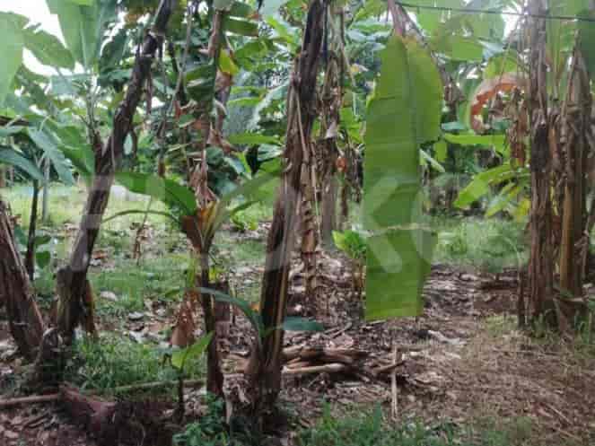1270 sqm, Land for Sale in Jl Mandar Bintaro, Bintaro - TNS8b1 2