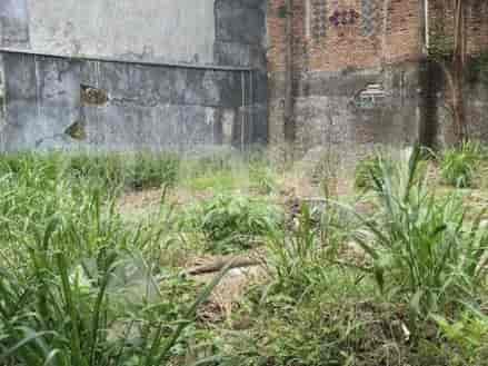 299 sqm, Land for Sale in Jl Raya Bojong Kulur Bogor, Bogor - TNS4f0 3