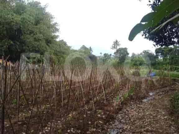 2434 sqm, Land for Sale in Jl Raya Cijeruk Bogor, Bogor - TNS490 1