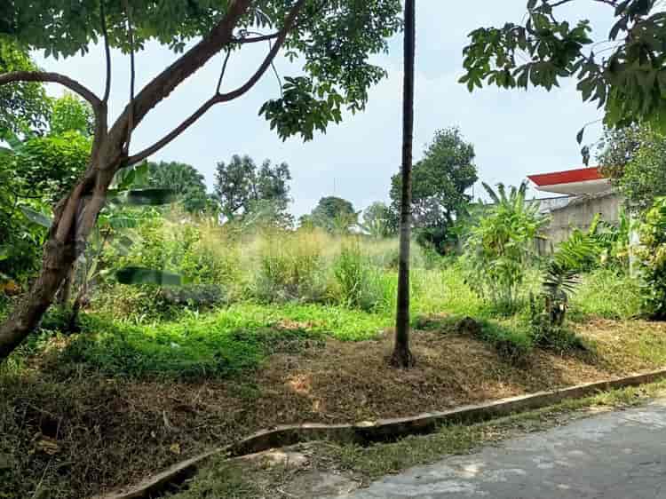 Dijual Tanah Luas 701 m2 di Jl. Raya Limo, Depok - TNSc3a 2