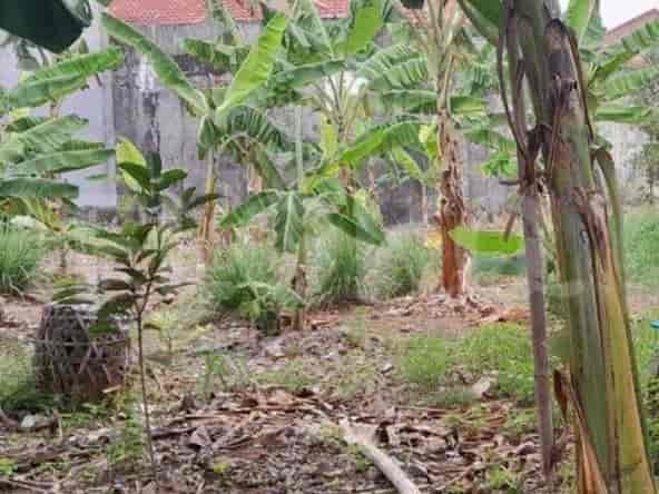 529 sqm, Land for Sale in Jl Raya Duren Sawit, Duren Sawit 1