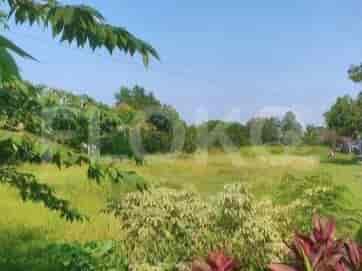 Dijual Tanah Luas 4300 m2 di Jl Raya Utama Pantura, Karawang - TNS3ca 2