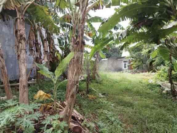 Dijual Tanah Luas 511 m2 di Jl Komplek Taman Bona Indah, Lebak Bulus - TNSd3d 2