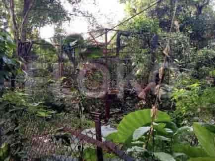 3400 sqm, Land for Sale in Jl Raya Lenteng Agung, Lenteng Agung 1